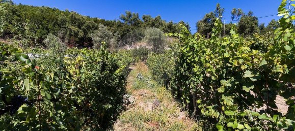 5 bedrooms House in Baiao, Portugal No. 177078 23