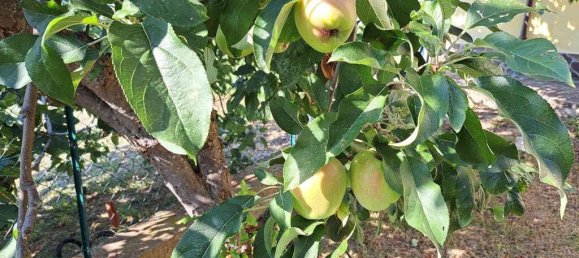 Villa T8 em Castiglione Messer Raimondo, Italy N.º 326940 10