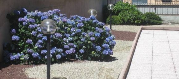 3 bedrooms Apartment in Vigevano, Italy No. 11869 30