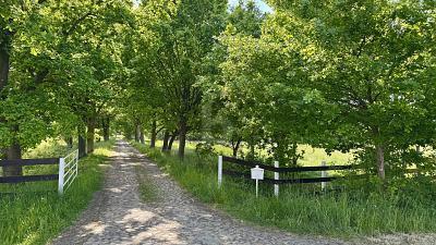 Casa de 7 habitaciónes en Mecklenburg–Western Pomerania, Germany No. 219735