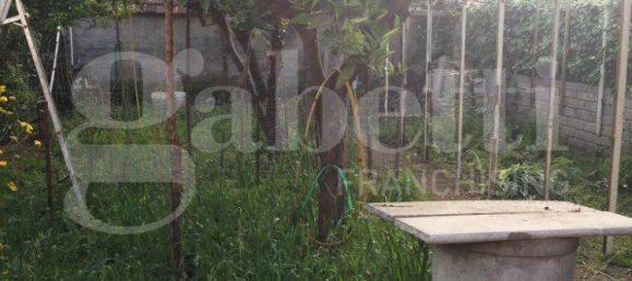 4 bedrooms House in Cellole, Italy No. 32916 16