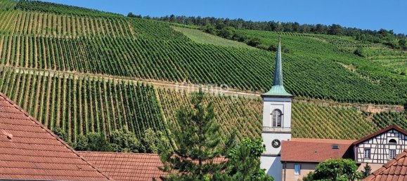 5 Schlafzimmer Villa in Barr, France, Nr. 352182 9