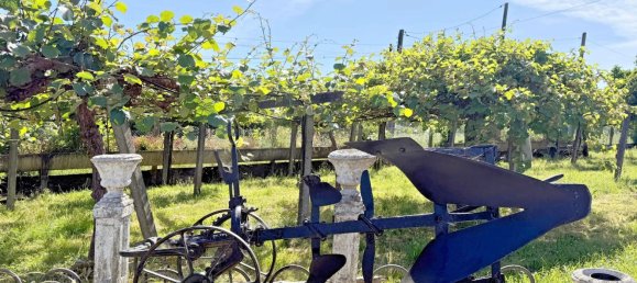 5 bedrooms House in Rois, Spain No. 60111 48