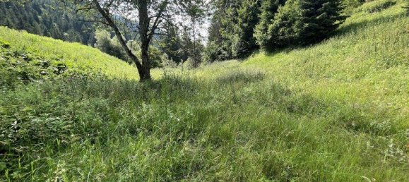 Земельный участок в Мурау, Австрия № 54840 9