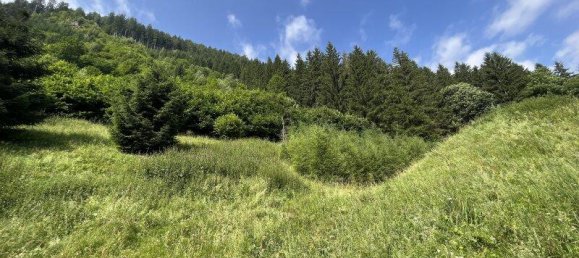 Земельный участок в Мурау, Австрия № 54840 7