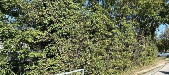 Terreno em Perchtoldsdorf, Austria N.º 129186 7