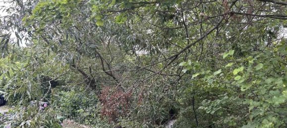 Terreno em Perchtoldsdorf, Austria N.º 129186 11