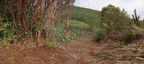 3 bedrooms House in Velas, Portugal No. 48237 16