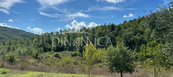 13 rooms House in Pomarance, Italy No. 235624 24