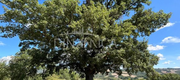 13 rooms House in Pomarance, Italy No. 235624 7