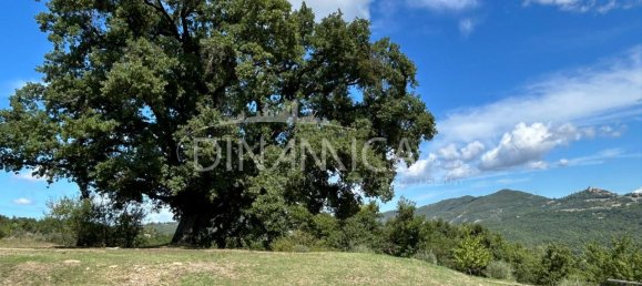 13 rooms House in Pomarance, Italy No. 235624 45