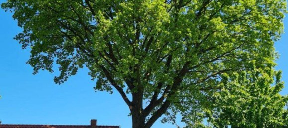 Casa T6 em County of Bentheim, Germany N.º 217826 5