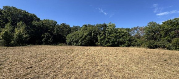 Terreno en Maria Enzersdorf, Austria No. 235568 4