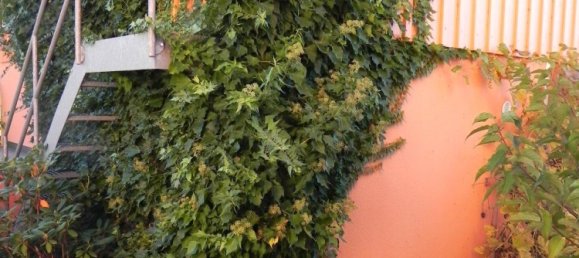 4 bedrooms Townhouse in Passau, Germany No. 148086 9