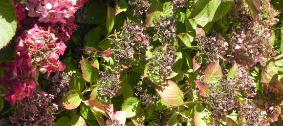 4 bedrooms Townhouse in Passau, Germany No. 148086 15