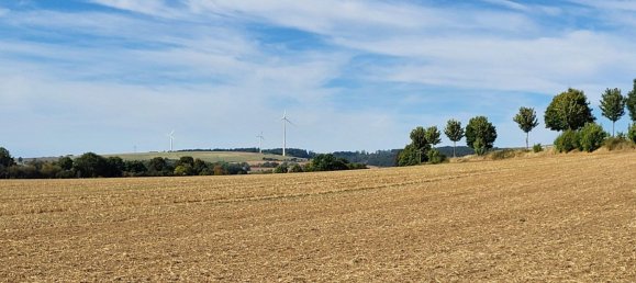 10-Zimmer Stadthaus in Northeim, Germany, Nr. 289614 19