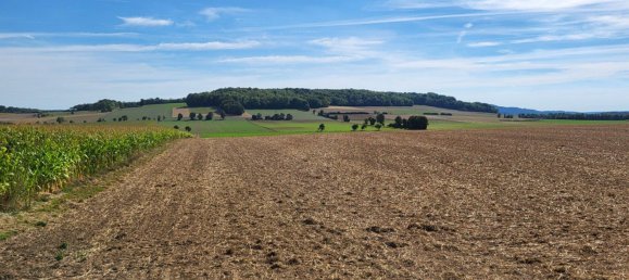10-Zimmer Stadthaus in Northeim, Germany, Nr. 289614 20