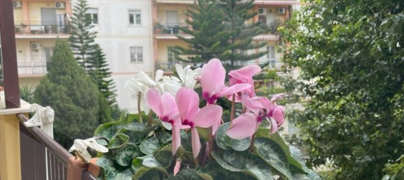 4 rooms Apartment in Naples, Italy No. 21243 24