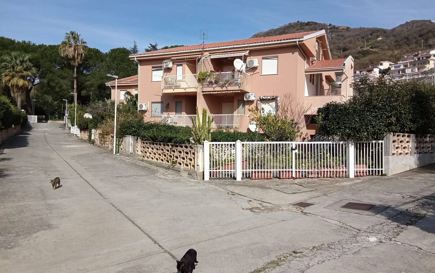 3-Zimmer Wohnung in Carolei, Italy, Nr. 11039