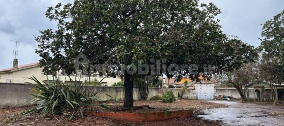 6 chambres Villa à Ardea, Italy No. 12357 31