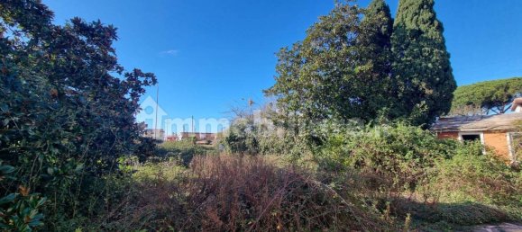 6 chambres Villa à Ardea, Italy No. 12357 21