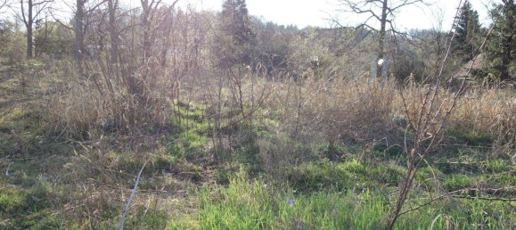  قطعة أرض في Kirchstetten, Austria 4268متر مربع رقم 165560 2