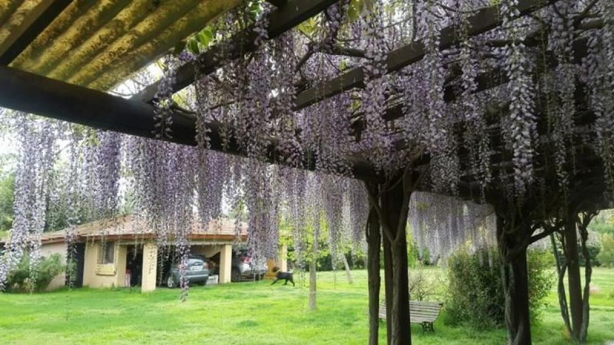 4 bedrooms Commercial property in Ezeiza, Argentina No. 105293