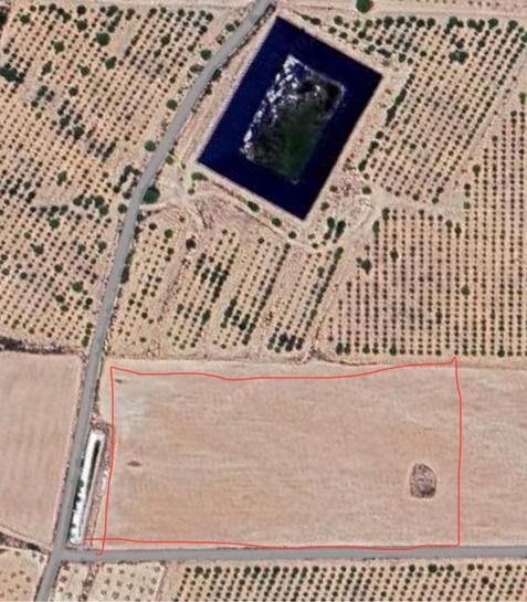  قطعة أرض في Alicante, Spain 29000متر مربع رقم 196422