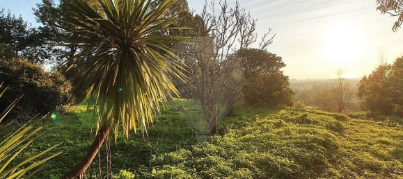 4 غرف نوم منزل في Vila Nova de Gaia, Portugal رقم 187102 33