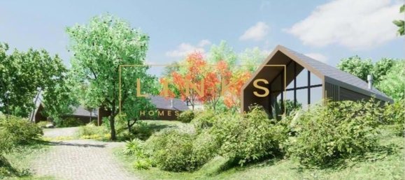 10000m² Land in Calheta, Portugal No. 109589 4