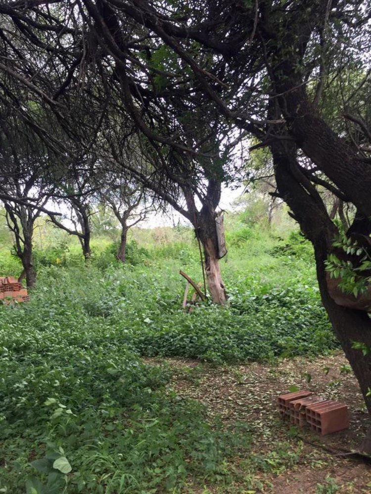  Land in Salta, Argentina No. 41195