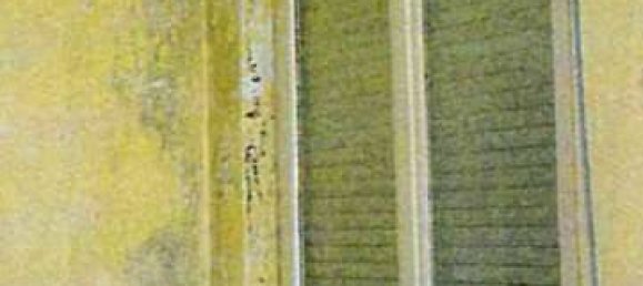 2 chambres Appartement à Vigevano, Italy No. 306157 3