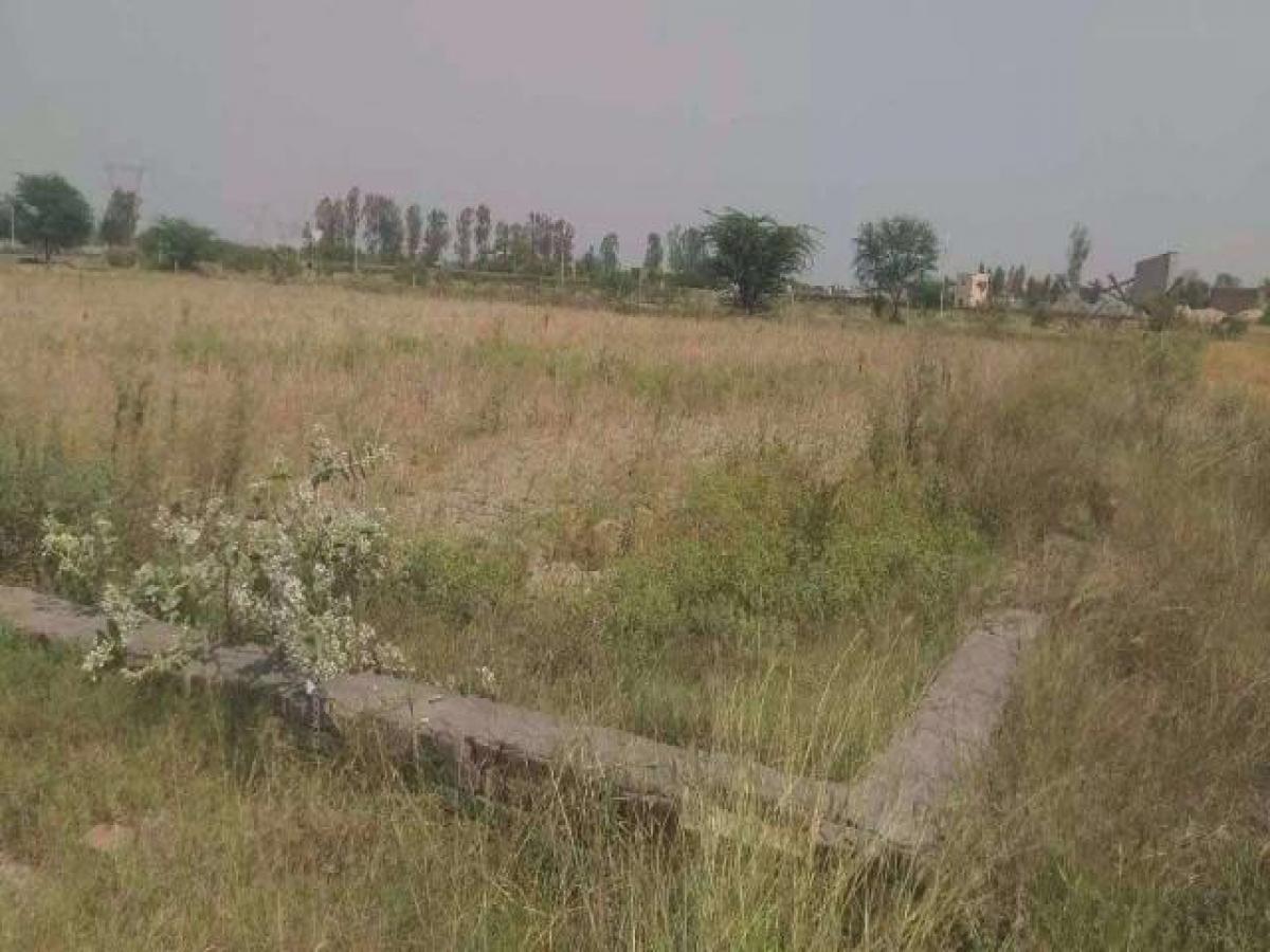 Terrain à Noida, India No. 65602