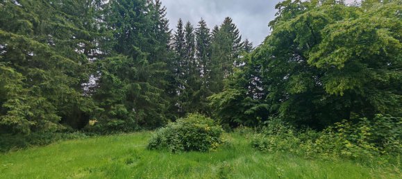 Land in Hochtaunuskreis, Germany No. 261416 6