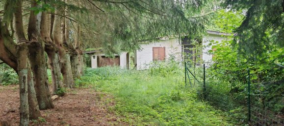 Land in Hochtaunuskreis, Germany No. 261416 3