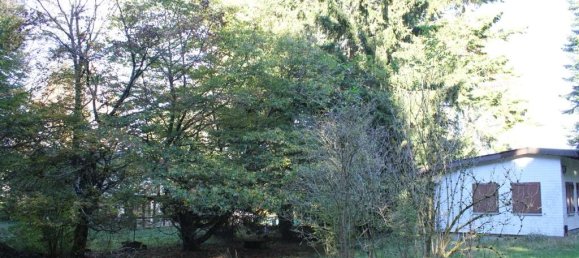 Land in Hochtaunuskreis, Germany No. 261416 13