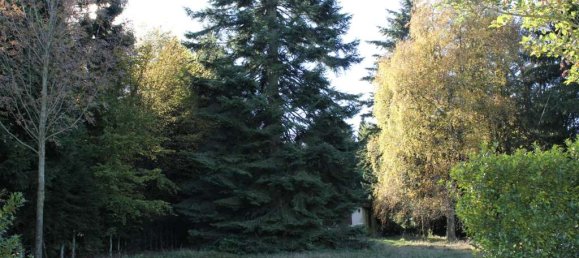 Land in Hochtaunuskreis, Germany No. 261416 12