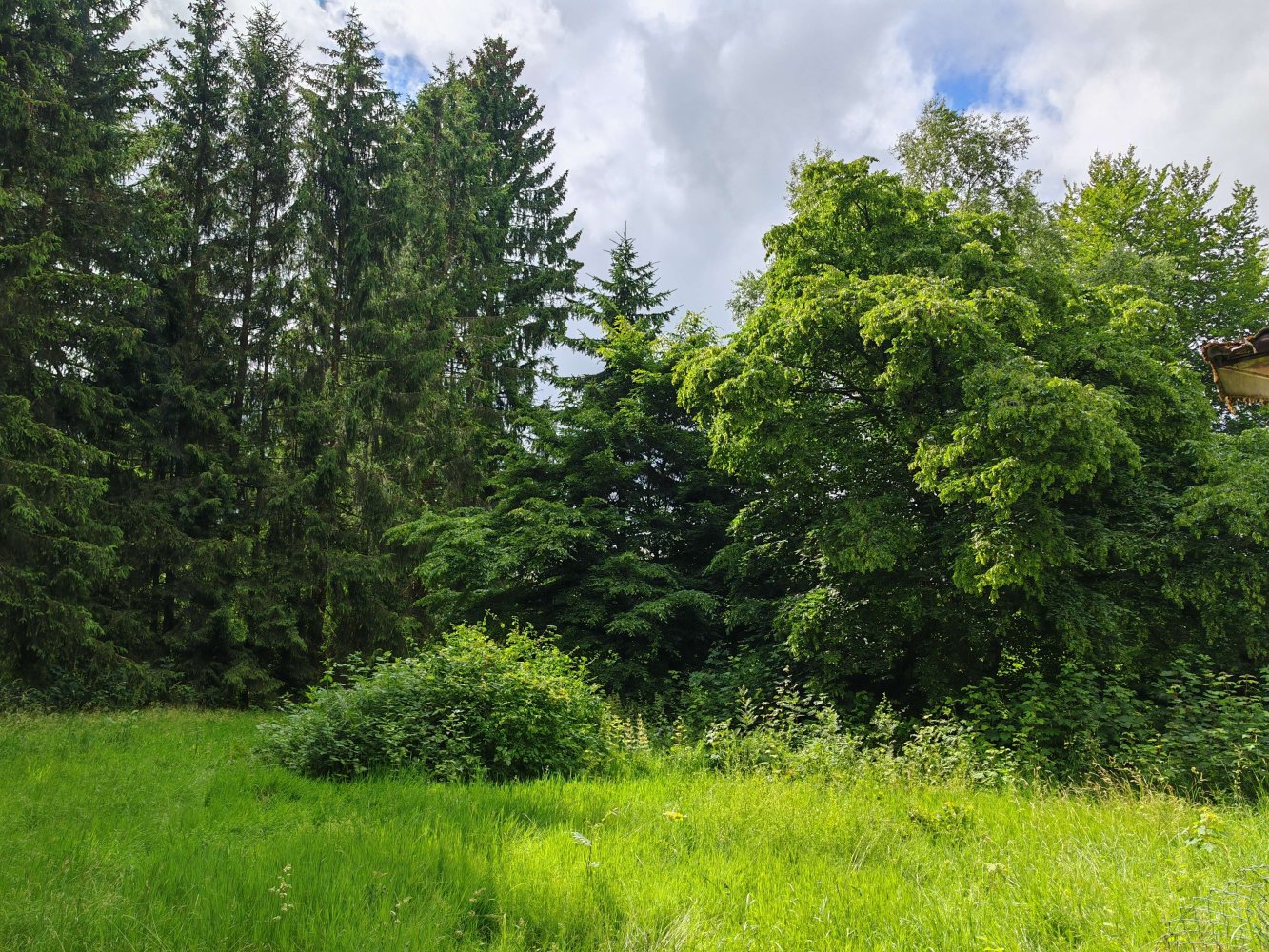  Land in Hochtaunuskreis, Germany No. 261416