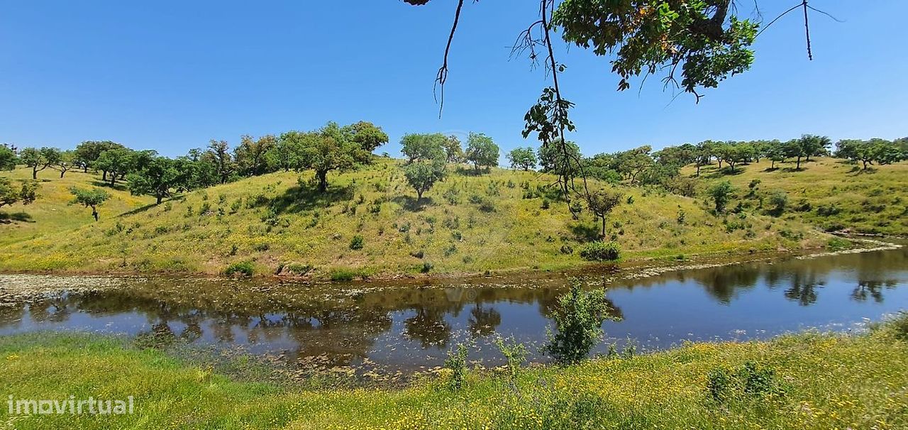 Grundstück in Alcacer do Sal, Portugal 696250m², Nr. 92304