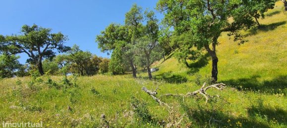 Grundstück in Alcacer do Sal, Portugal 696250m², Nr. 92304 7