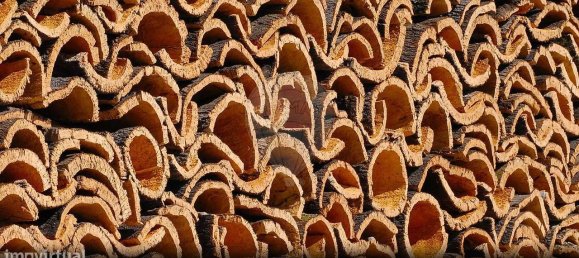 Grundstück in Alcacer do Sal, Portugal 696250m², Nr. 92304 3