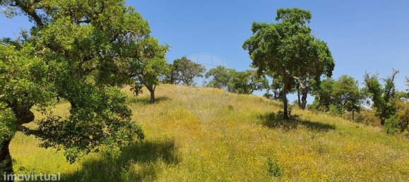 Grundstück in Alcacer do Sal, Portugal 696250m², Nr. 92304 11