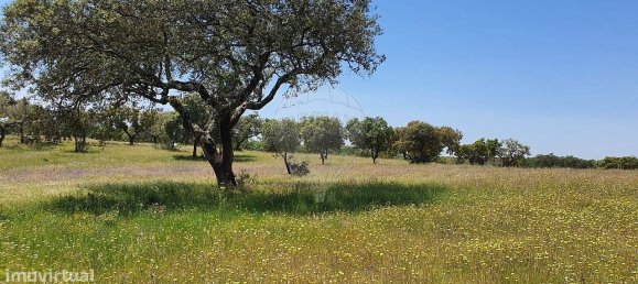 Grundstück in Alcacer do Sal, Portugal 696250m², Nr. 92304 13