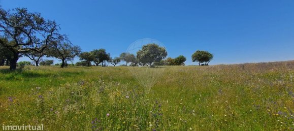 Grundstück in Alcacer do Sal, Portugal 696250m², Nr. 92304 12