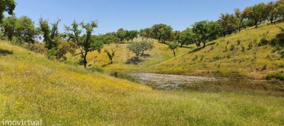 Grundstück in Alcacer do Sal, Portugal 696250m², Nr. 92304 10
