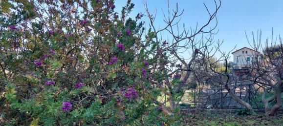 5 rooms House in Sanremo, Italy No. 237426 29