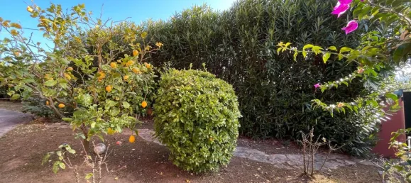 5 Schlafzimmer Haus in Obidos, Portugal, Nr. 109525 33