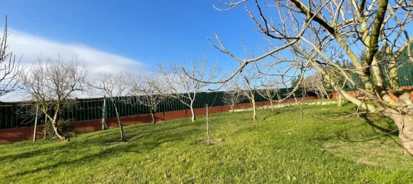 5 Schlafzimmer Haus in Obidos, Portugal, Nr. 109525 30