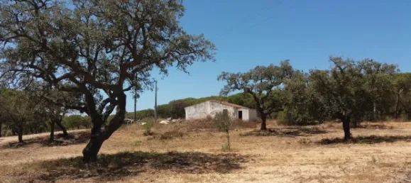 25 chambres Hôtel à Almancil, Portugal No. 145358 7