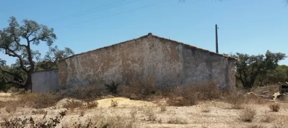 25 chambres Hôtel à Almancil, Portugal No. 145358 26